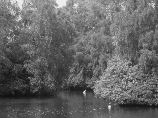 digitalcamerapics057