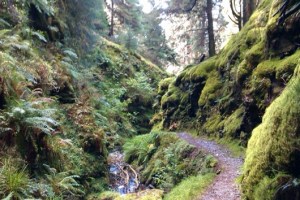 IMAG0013-640x427-530x354-Copy