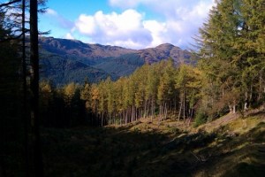 IMAG0019-640x427-530x354-Copy