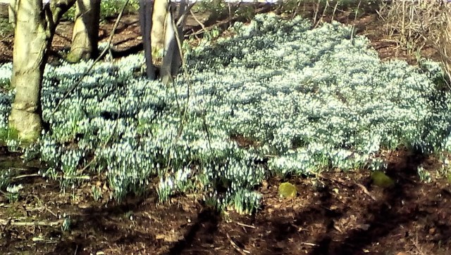 IMG_20150221_142715 (2)