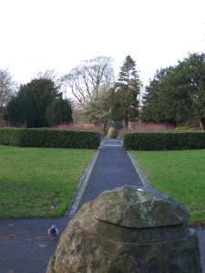 I will start getting up early again, if only to see nice things such as this here