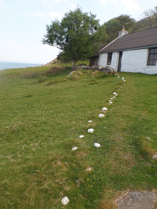 SAMSUNG CAMERA PICTURES