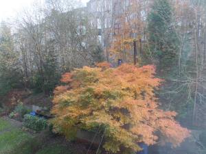 SAMSUNG CAMERA PICTURES