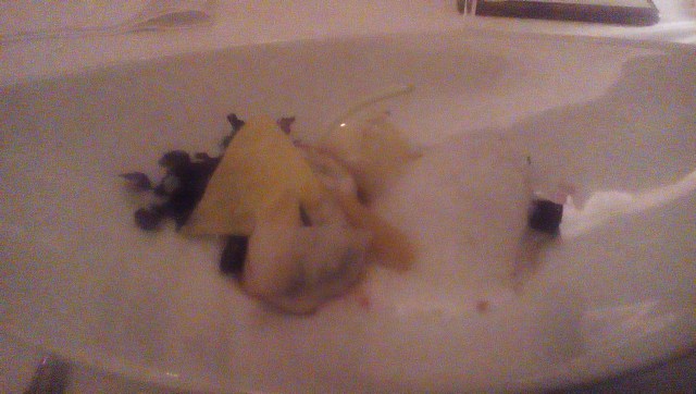 IMG_20160408_2233483_rewind