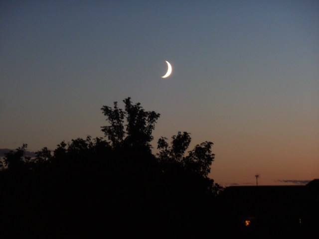 SAMSUNG CAMERA PICTURES