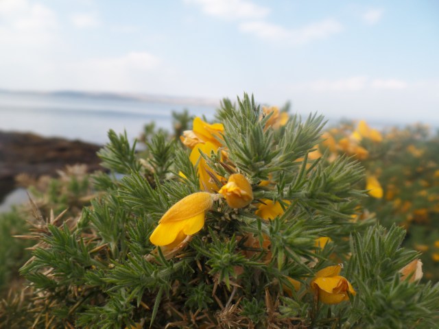 SAMSUNG CAMERA PICTURES